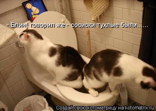 - Блин! говорил же - сосиски тухлые были......... Котоматрица: - Блин! говорил же - сосиски тухлые были......