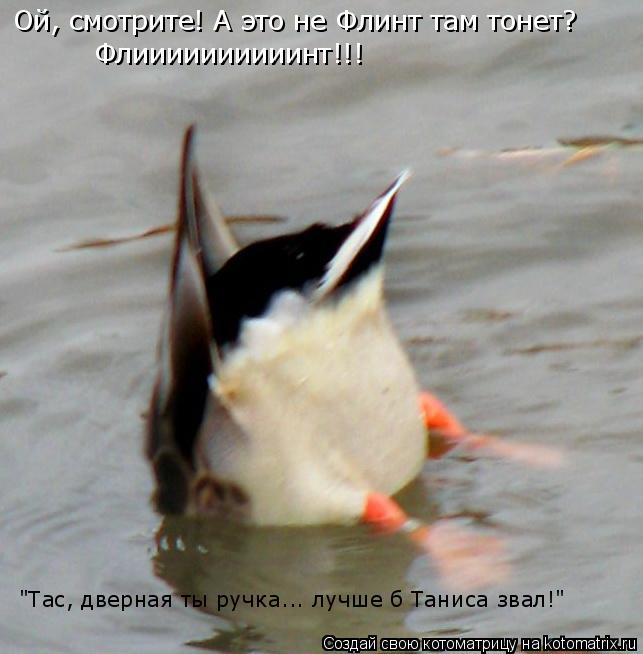 Ой, смотрите! А это не Флинт там тонет? Флиииииииииинт!!! "Тас, дверная ты ручка... лучше б Таниса зв... Котоматрица: Ой, смотрите! А это не Флинт там тонет? Флиииииииииинт!!! "Тас, дверная ты ручка... лучше б Таниса звал!"