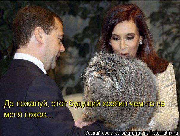 Да пожалуй, этот будущий хозяин чем-то на меня похож...... Котоматрица: Да пожалуй, этот будущий хозяин чем-то на меня похож...