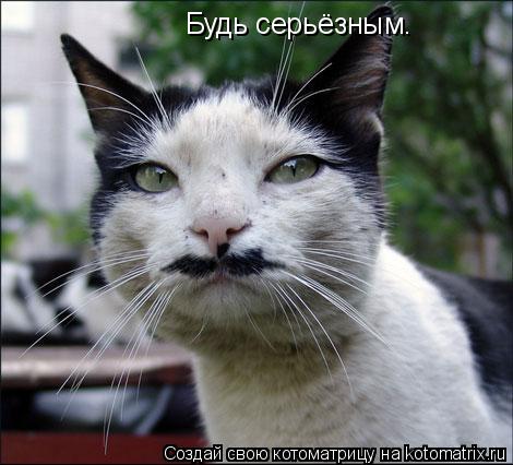 Будь серьёзным.... Котоматрица: Будь серьёзным.