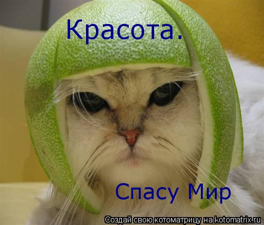 Красота. Спасу Мир... Котоматрица: Красота. Спасу Мир