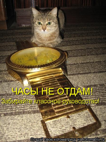 ЧАСЫ НЕ ОТДАМ! Забирайте классное руководство!... Котоматрица: ЧАСЫ НЕ ОТДАМ! Забирайте классное руководство!