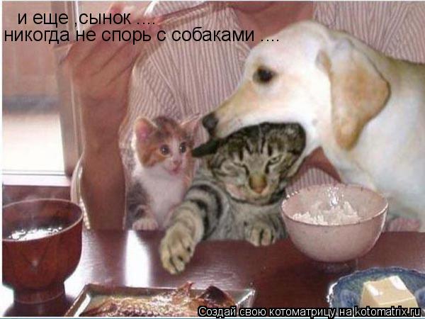 и еще ,сынок .... никогда не спорь с собаками ....... Котоматрица: и еще ,сынок .... никогда не спорь с собаками ....