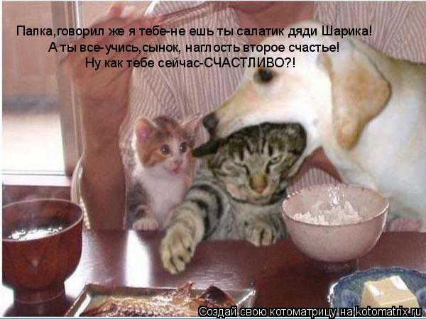 Папка,говорил же я тебе-не ешь ты салатик дяди Шарика! А ты все-учись,сынок, наглость второе счастье!... Котоматрица: Папка,говорил же я тебе-не ешь ты салатик дяди Шарика! А ты все-учись,сынок, наглость второе счастье! Ну как тебе сейчас-СЧАСТЛИВО?!