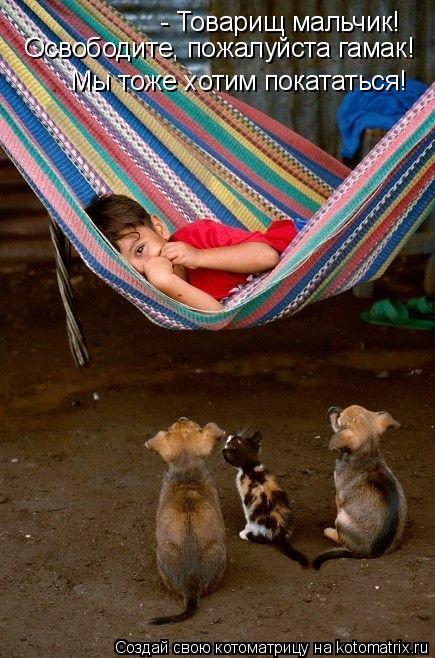 - Товарищ мальчик! Освободите, пожалуйста гамак! Мы тоже хотим покататься!... Котоматрица: - Товарищ мальчик! Освободите, пожалуйста гамак! Мы тоже хотим покататься!