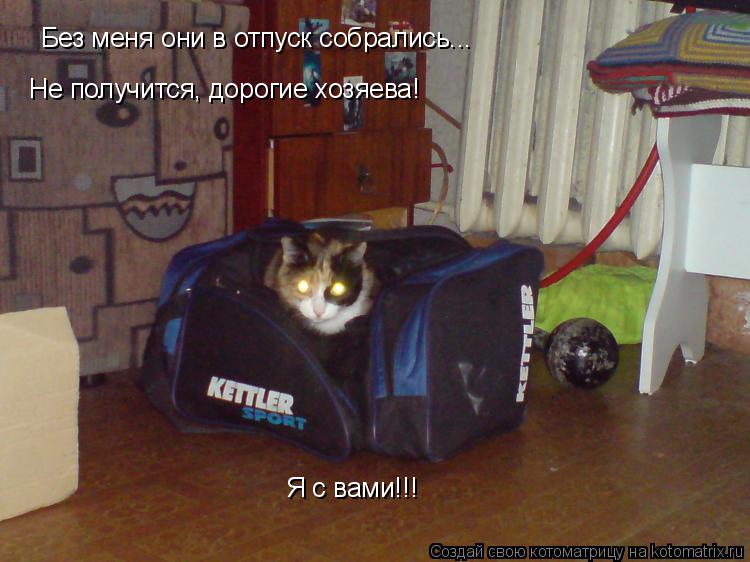 Без меня они в отпуск собрались... Не получится, дорогие хозяева! Я с вами!!!... Котоматрица: Без меня они в отпуск собрались... Не получится, дорогие хозяева! Я с вами!!!