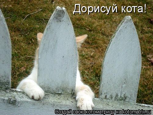 Дорисуй кота!