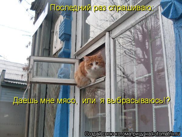 Последний раз спрашиваю: Даешь мне мясо, или я выбрасываюсь!?... Котоматрица: Последний раз спрашиваю: Даешь мне мясо, или я выбрасываюсь!?