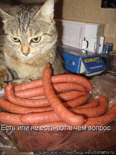Есть или не есть-вот в чем вопрос.... Есть или не есть-вот в чем вопрос....... Котоматрица: Есть или не есть-вот в чем вопрос.... Есть или не есть-вот в чем вопрос....