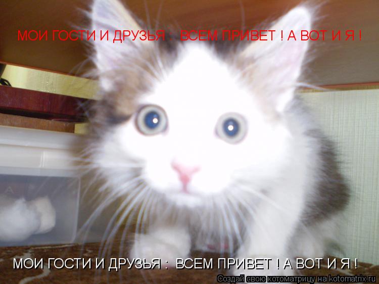 МОИ ГОСТИ И ДРУЗЬЯ : ВСЕМ ПРИВЕТ ! А ВОТ И Я ! МОИ ГОСТИ И ДРУЗЬЯ : ВСЕМ ПРИВЕТ ! А ВОТ И Я !... Котоматрица: МОИ ГОСТИ И ДРУЗЬЯ : ВСЕМ ПРИВЕТ ! А ВОТ И Я ! МОИ ГОСТИ И ДРУЗЬЯ : ВСЕМ ПРИВЕТ ! А ВОТ И Я !