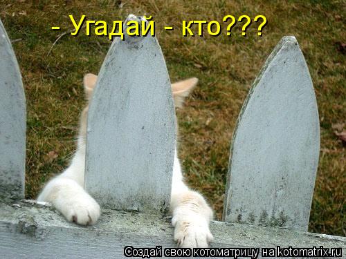 - Угадай - кто???... Котоматрица: - Угадай - кто???