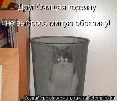 Котоматрица: Друг!Очищая корзину, не выбрось милую образину!