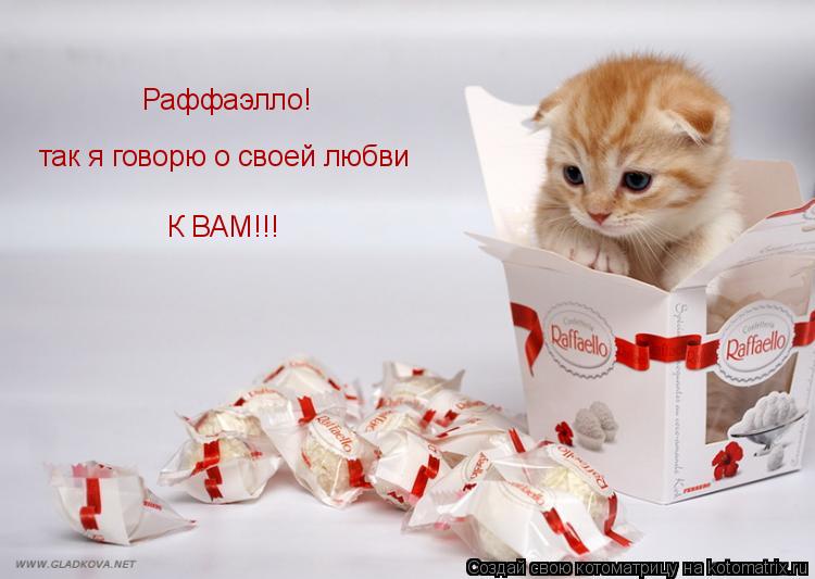 так я говорю о своей любви Раффаэлло! К ВАМ!!!... Котоматрица: так я говорю о своей любви Раффаэлло! К ВАМ!!!