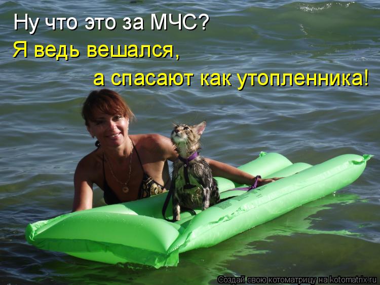 Котоматрица: Ну что это за МЧС? Я ведь вешался, а спасают как утопленника!