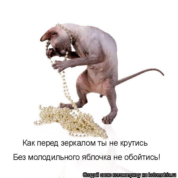 Котоматрица: Как перед зеркалом ты не крутись Без молодильного яблочка не обойтись!