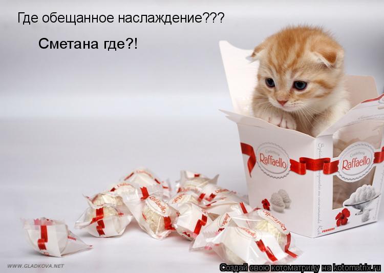 Котоматрица: Где обещанное наслаждение??? Сметана где?!