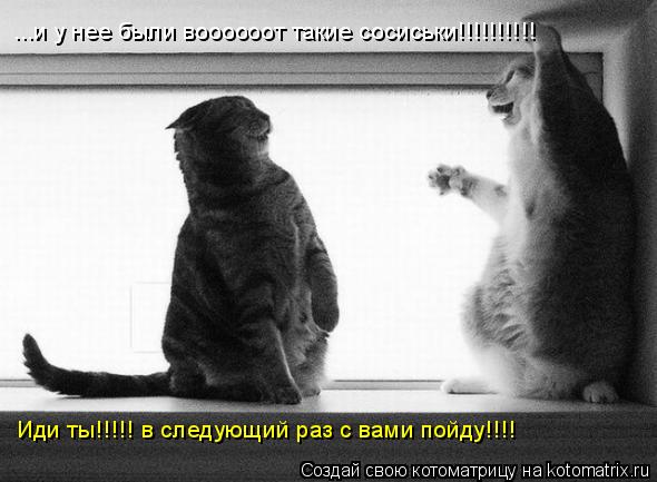 Котоматрица: ...и у нее были воооооот такие сосиськи!!!!!!!!!! ...и у нее были воооооот такие сосиськи!!!!!!!!!! Иди ты!!!!! в следующий раз с вами пойду!!!! Иди т