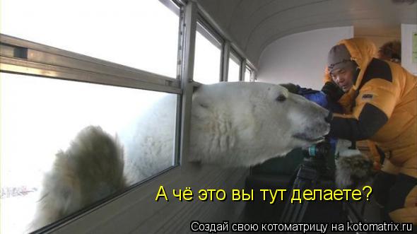 Котоматрица: А чё это вы тут делаете?