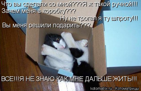 Котоматрица: Что вы сделали со мной???Я ж такой ручной!!! Зачем меня в коробку??? Ну не трогал я ту шпроту!!! Вы меня решили подарить??? ВСЕ!!!Я НЕ ЗНАЮ КАК МНЕ ДА