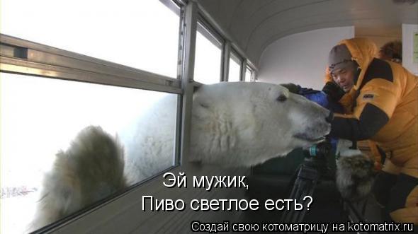 Эй мужик, Пиво светлое есть?... Котоматрица: Эй мужик, Пиво светлое есть?