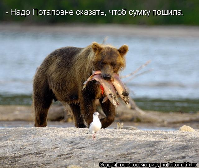 Котоматрица: - Надо Потаповне сказать, чтоб сумку пошила.