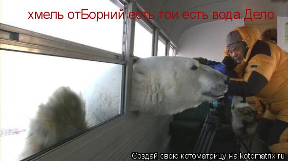 Котоматрица: хмель отБорний есть тои есть вода.Дело