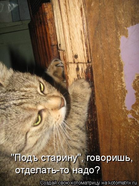 Котоматрица: "Подъ старину", говоришь,  отделать-то надо?