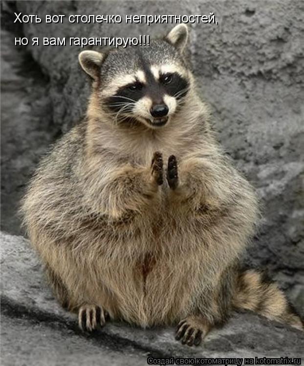 Котоматрица: Хоть вот столечко неприятностей, но я вам гарантирую!!!