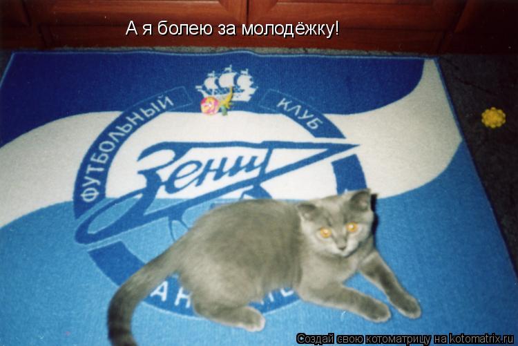 Котоматрица: А я болею за молодёжку!