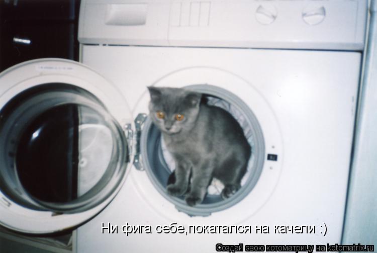 Котоматрица: Ни фига себе,покатался на качели :)