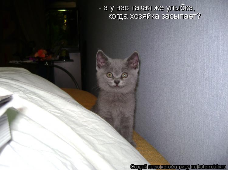 Котоматрица: - а у вас такая же улыбка, когда хозяйка засыпает?