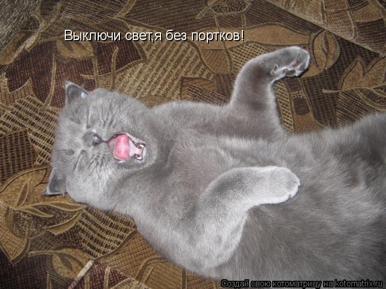 Котоматрица: Выключи свет,я без портков!