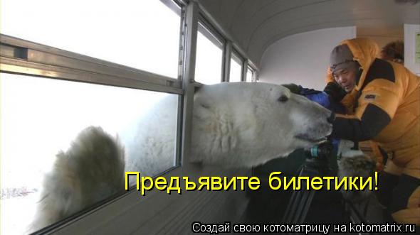 Котоматрица: Предъявите билетики!