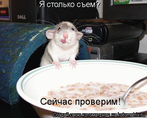 Я столько съем? Сейчас проверим!... Котоматрица: Я столько съем? Сейчас проверим!