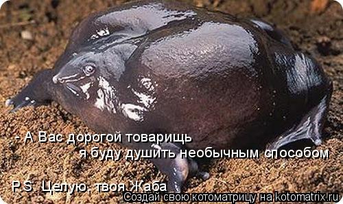 Котоматрица: - А Вас дорогой товарищь  я буду душить необычным способом P.S. Целую, твоя Жаба