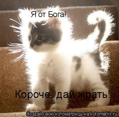 Котоматрица: Я от Бога! Короче, дай жрать!