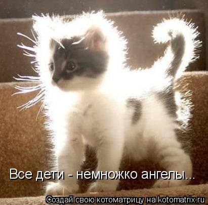 Котоматрица: Все дети - немножко ангелы...