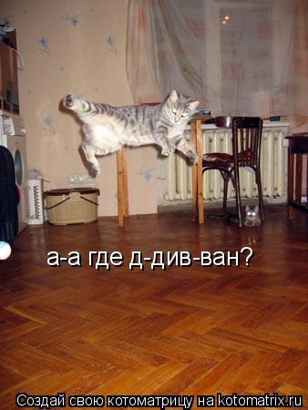 а-а где д-див-ван?... Котоматрица: а-а где д-див-ван?