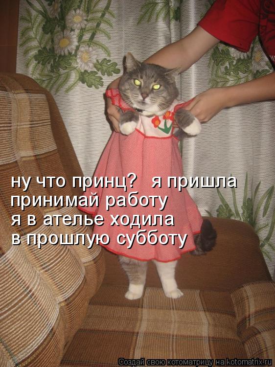 ну что принц? я пришла принимай работу я в ателье ходила в прошлую субботу... Котоматрица: ну что принц? я пришла принимай работу я в ателье ходила в прошлую субботу