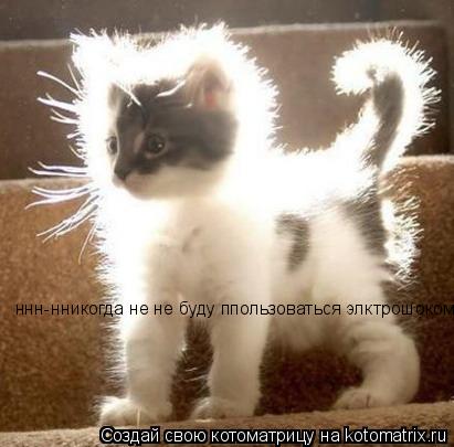 ннн-нникогда не не буду ппользоваться элктрошоком... Котоматрица: ннн-нникогда не не буду ппользоваться элктрошоком