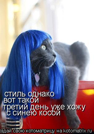 стиль однако вот такой третий день уже хожу с синею косой... Котоматрица: стиль однако вот такой третий день уже хожу с синею косой