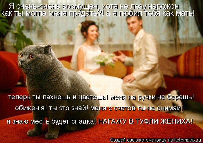 Я очень-очень возмущен, хотя не лезу нарожон как ты могла меня предать?! а я любил тебя как мать! теп... Котоматрица: Я очень-очень возмущен, хотя не лезу нарожон как ты могла меня предать?! а я любил тебя как мать! теперь ты пахнешь и цветешь! меня на ручки не