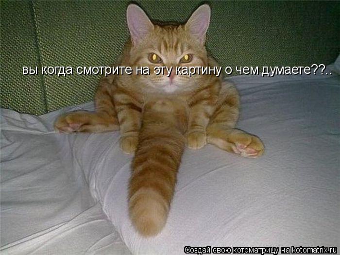 вы когда смотрите на эту картину о чем думаете??..... Котоматрица: вы когда смотрите на эту картину о чем думаете??..