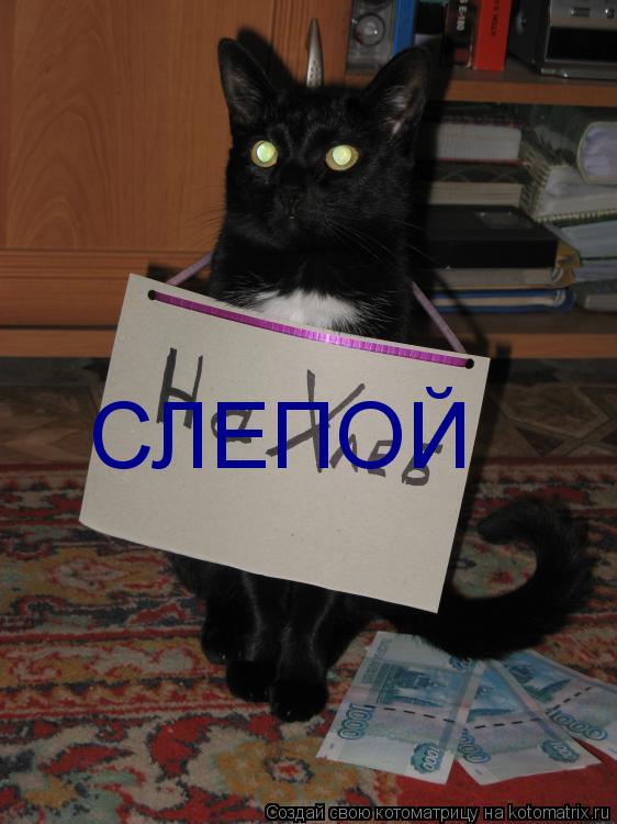Котоматрица: СЛЕПОЙ