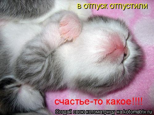 Котоматрица: в отпуск отпустили счастье-то какое!!!!