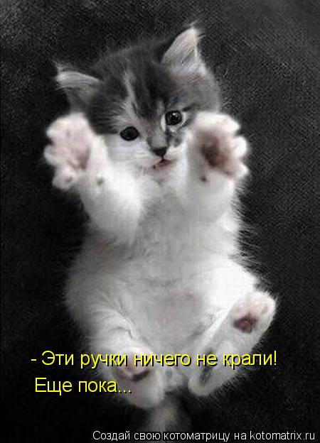 - Эти ручки ничего не крали! Еще пока...... Котоматрица: - Эти ручки ничего не крали! Еще пока...