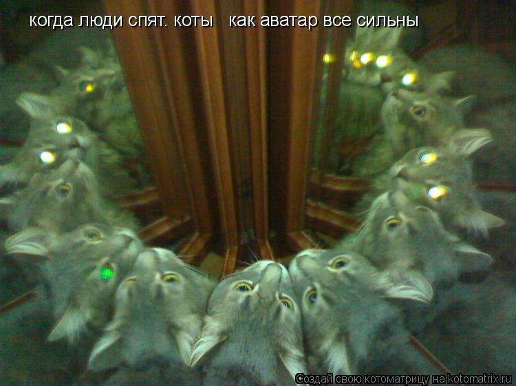 когда люди спят. коты как аватар все сильны... Котоматрица: когда люди спят. коты как аватар все сильны