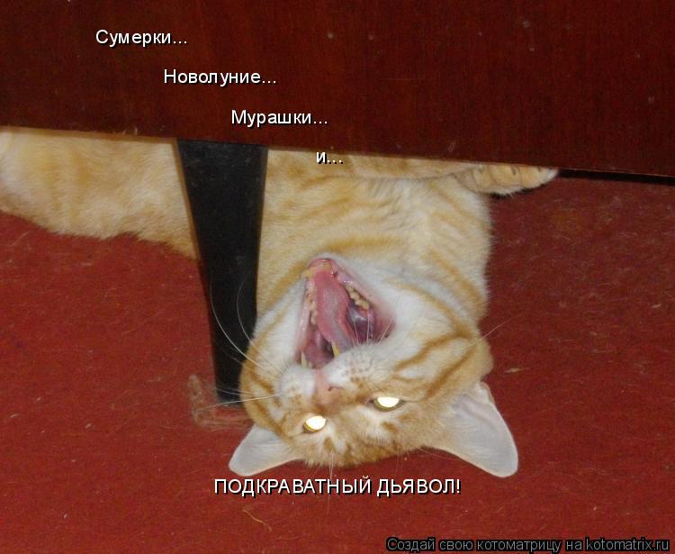 Сумерки... Новолуние... Мурашки... и... ПОДКРАВАТНЫЙ ДЬЯВОЛ!... Котоматрица: Сумерки... Новолуние... Мурашки... и... ПОДКРАВАТНЫЙ ДЬЯВОЛ!
