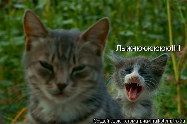 Лыжнюююююю!!!!... Котоматрица: Лыжнюююююю!!!!