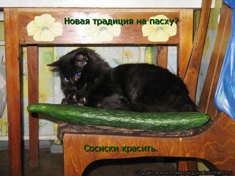 Новая традиция на пасху? Сосиски красить.... Котоматрица: Новая традиция на пасху? Сосиски красить.